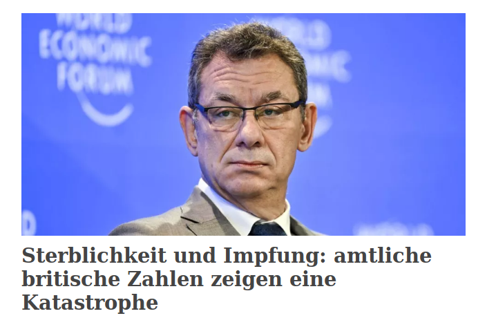 Screenshot multipolar-magazin.de